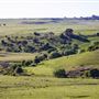 Taralga countryside