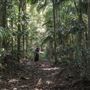 Ardeena - Jungle / Rainforest Private Property