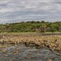 Bombo Headland Quarry