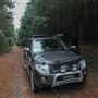 Douglas Fir Stand - Vulcan State Forest