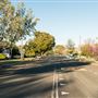 Tamworth