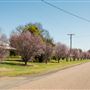Tamworth