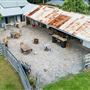 Mountain View Farm Tilba Tilba