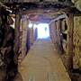 Wellington Caves Complex