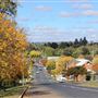 Walcha