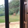 Strickland House - Sydney Harbour National Park