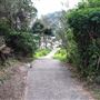 Nielsen Park
