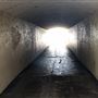 Tunnel - Nielson Park