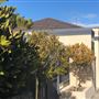 Point Piper