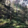Trumper Park