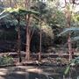 Trumper Park