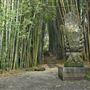 Crystal Castle - Bamboo Avenue