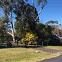 Milton Houses