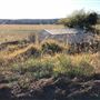 Pambula Area Farms