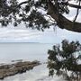 Huskisson