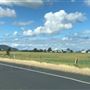 Bolong Farms
