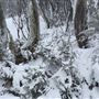 Dead Horse Gap