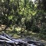 Otford Farm - Paintball Property