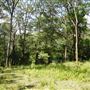 Otford Farm - Jungle Set Build Site