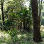 Otford Farm - Jungle Set Build Site