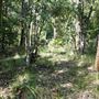 Otford Farm - Jungle Set Build Site