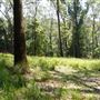Otford Farm - Jungle Set Build Site