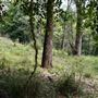 Otford Farm - Jungle Set Build Site