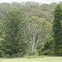 Otford Farm - The Pines Paddock with Jungle Gully