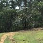 Otford Farm - The Pines Paddock with Jungle Gully