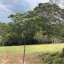Otford Farm - The Pines Paddock with Jungle Gully