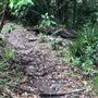 Otford Farm - The Pines Paddock with Jungle Gully