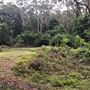Otford Farm - The Pines Paddock with Jungle Gully