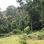 Otford Farm - The Pines Paddock with Jungle Gully