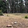 Otford Farm - 40 Acres Paddock