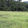 Otford Farm - 40 Acres Paddock