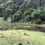 Otford Farm - 40 Acres Paddock