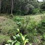 Otford Farm - 40 Acres Paddock