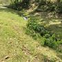 Otford Farm - 40 Acres Paddock