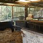 Otford Farm - Horse Farm
