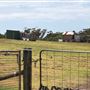Otford Farm - Crazy T Farm