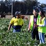 Greater Sydney Local Land Services Demonstration Farm
