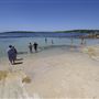 Oak Park Sea Pool