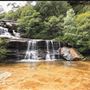 Wentworth Falls - Blue Mountains National Park