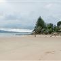 Trial Bay Gaol Campground & Front Beach - Arakoon National Park