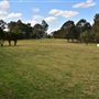 Set Build Sites - Sydney International Regatta Centre