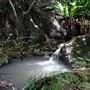 Hidden Creek