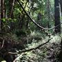 Hidden Creek