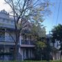 Jersey Road - Woollahra