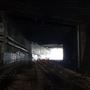 Darling Harbour Railway Tunnel Ultimo aka The Goods Line Tunnel