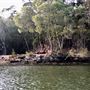 Brunswick River